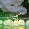 四川省第十五届“星光灿烂”青少儿舞蹈展演1月1日