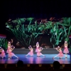 四川省第十五届“星光灿烂”青少儿舞蹈展演1月1日