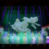 四川省第十五届“星光灿烂”青少儿舞蹈展演1月1日